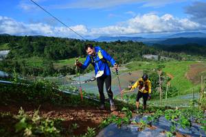 BIB: 
                            <button type="button" onclick="openModal(13382014)" class="btn btn-primary btn-sm float-right btn-popup" data-toggle="modal" data-target=".modal-high-quality">
                        <i class="fas fa-shopping-cart"></i> Add to Cart
                    </button>
                                            <button type="button" onclick="isThisMe(13382014, true)" class="btn btn-success btn-sm float-right btn-popup btn-isme hidden" data-toggle="tooltip" data-placement="bottom" title="นี่คือรูปของคุณใช่ไหม คลิกที่นี่เพื่อเอาเข้าอัลบั้ม">
                        <i class="fas fa-plus"></i> Add to album
                    </button>
                    <button type="button" onclick="isThisMe(13382014, false)" class="btn btn-warning btn-sm float-right btn-popup btn-isnotme hidden">
                        <i class="fas fa-ban"></i> Remove from album
                    </button>